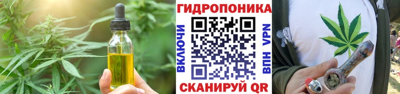 сколько стоит  Кирс  Еда ТГК марихуана 
