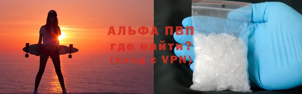 стаф Арсеньев