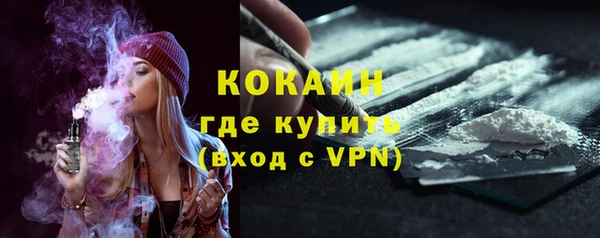 стаф Арсеньев
