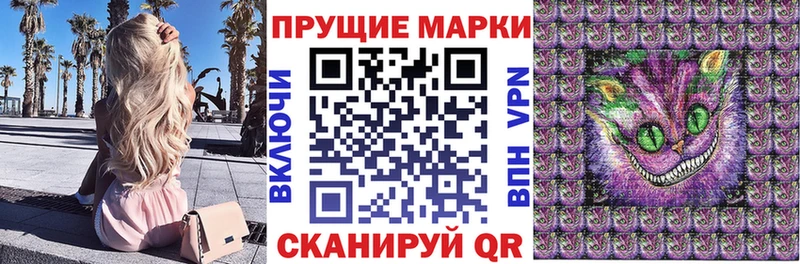 дарк нет наркотические препараты где купить наркотик Кирс Марки 25I-NBOMe 1500мкг